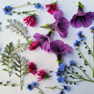 Hoe moet je bloemen drogen? 4 eenvoudige manieren