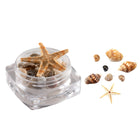 Doosje Echte Kleine Schelpjes & Zeester voor knutselen