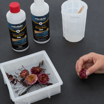 Gedroogde grote bloemen en bladeren - itsokay