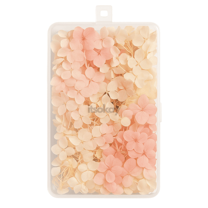 Gedroogde Hortensia Bloemen (100 st.) - itsokay