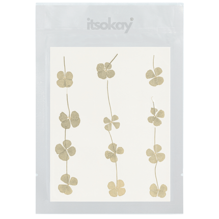 Klavertje vier gedroogd (echte bladeren) - itsokay