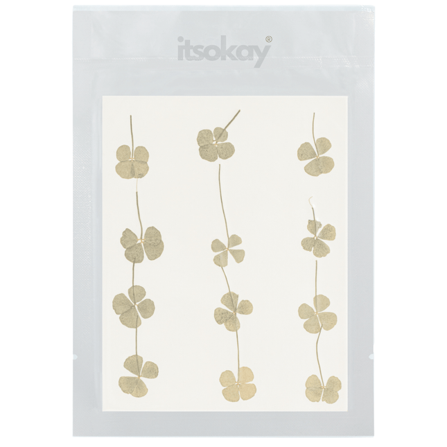 Klavertje vier gedroogd (echte bladeren) - itsokay