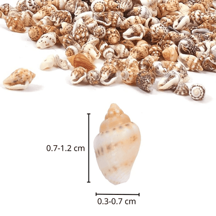 Pot Schelpjes - Schelpkralen (1500st.) - itsokay