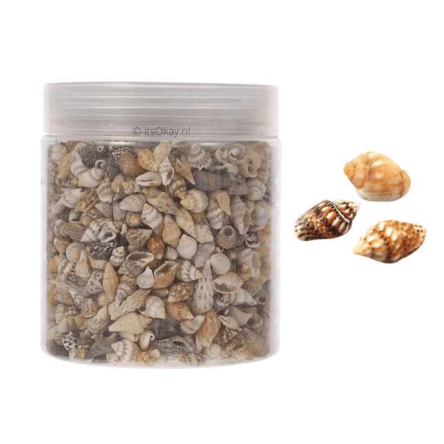 Pot Schelpjes - Schelpkralen (1500st.) - itsokay