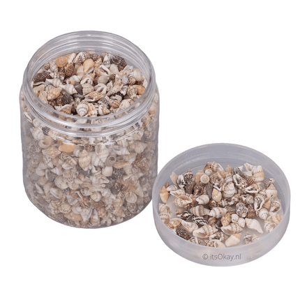 Pot Schelpjes - Schelpkralen (1500st.) - itsokay