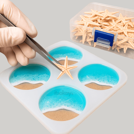 Schelpen en zeesterren (echt natuurproduct) - #itsokay#