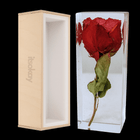 Siliconen Mal Rechthoek (15 of 18 cm) - itsokay