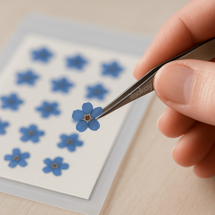 Vergeet mij nietjes gedroogd (echte bloemen) - itsokay