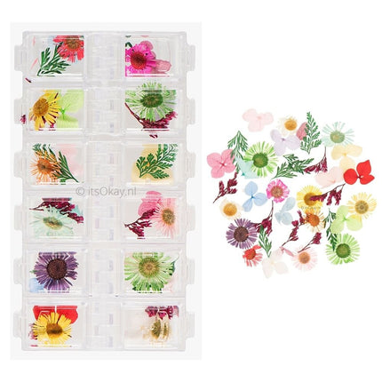 Gedroogde échte kleine bloemetjes - #itsokay#