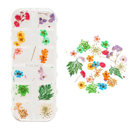 Gedroogde échte kleine bloemetjes - #itsokay#