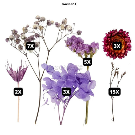 Gedroogde grote bloemen en bladeren - #itsokay#