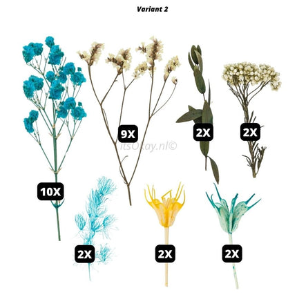 Gedroogde grote bloemen en bladeren - #itsokay#