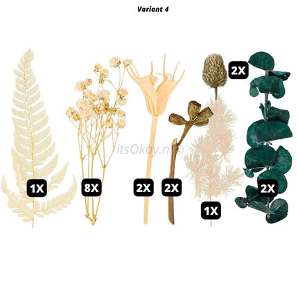 Gedroogde grote bloemen en bladeren - #itsokay#