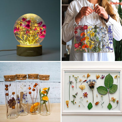 Gedroogde grote bloemen en bladeren - #itsokay#