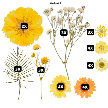 Geperste bloemen en bladeren - #itsokay#