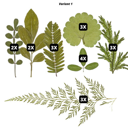 Geperste bloemen en bladeren - #itsokay#