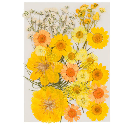 Geperste bloemen en bladeren - #itsokay#