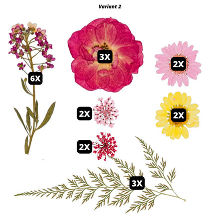 Geperste bloemen en bladeren - #itsokay#