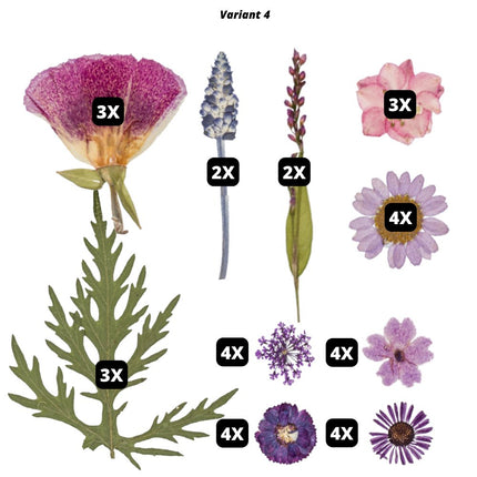 Geperste bloemen en bladeren - #itsokay#