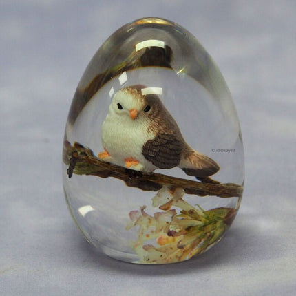 Siliconen Mal Ei - #itsokay#