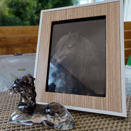 Siliconen Mal Groot Zittend Paard - #itsokay#