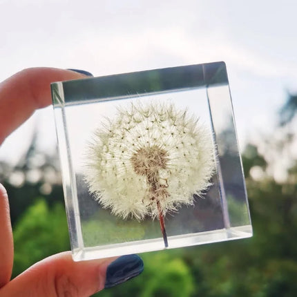 Siliconen Mal Kubus - #itsokay#